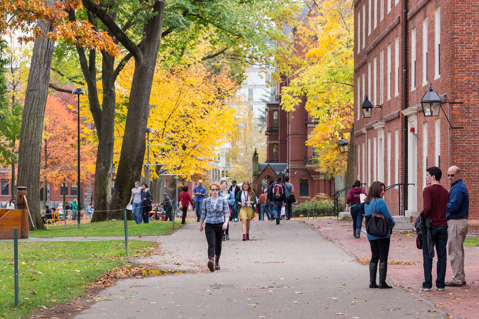 Harvard campus with brilliant fall foliage AZ IRA Real Estate